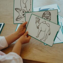Kidywolf KIDYDRAW-Mini Tekentablet Dieren over de hele wereld