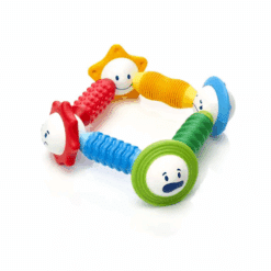 SmartMax My First Sounds & Senses